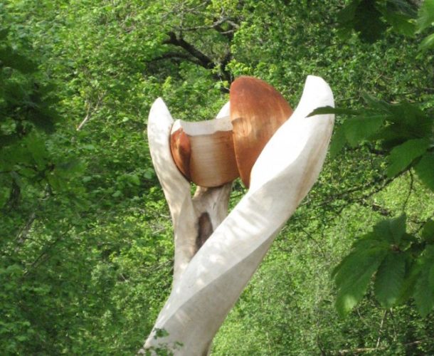 L’arbre à fruit