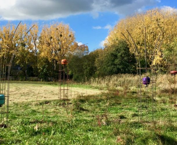 « Arbres à crue »