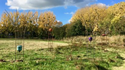 « Arbres à crue »