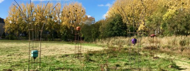 Vue des "Arbres à crue" in situ